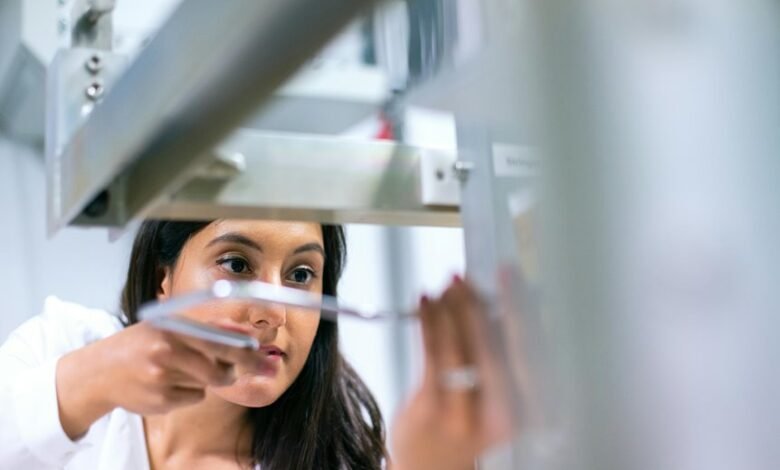 industry insights for businesses