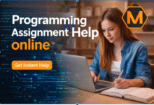 Why Every Computer Science Student Needs Programming Assignment Help