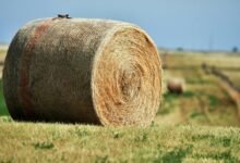 apex beam expansion node