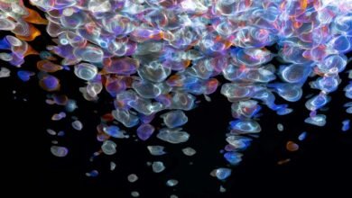 apex flow fusion beam