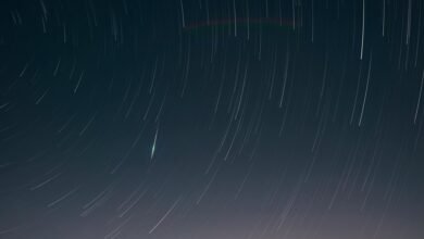 radiant strategic orbit loop