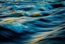 stellar wave market analysis