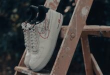 titan flow brand ladder